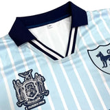 Close-up of a custom light blue and white striped soccer jersey featuring navy collar, V-neck, and crest logos on chest.
